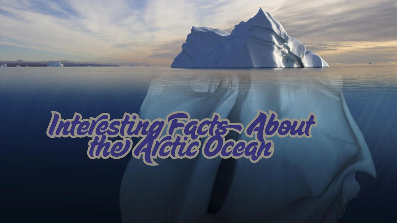 Interesting Facts About the Arctic Ocean